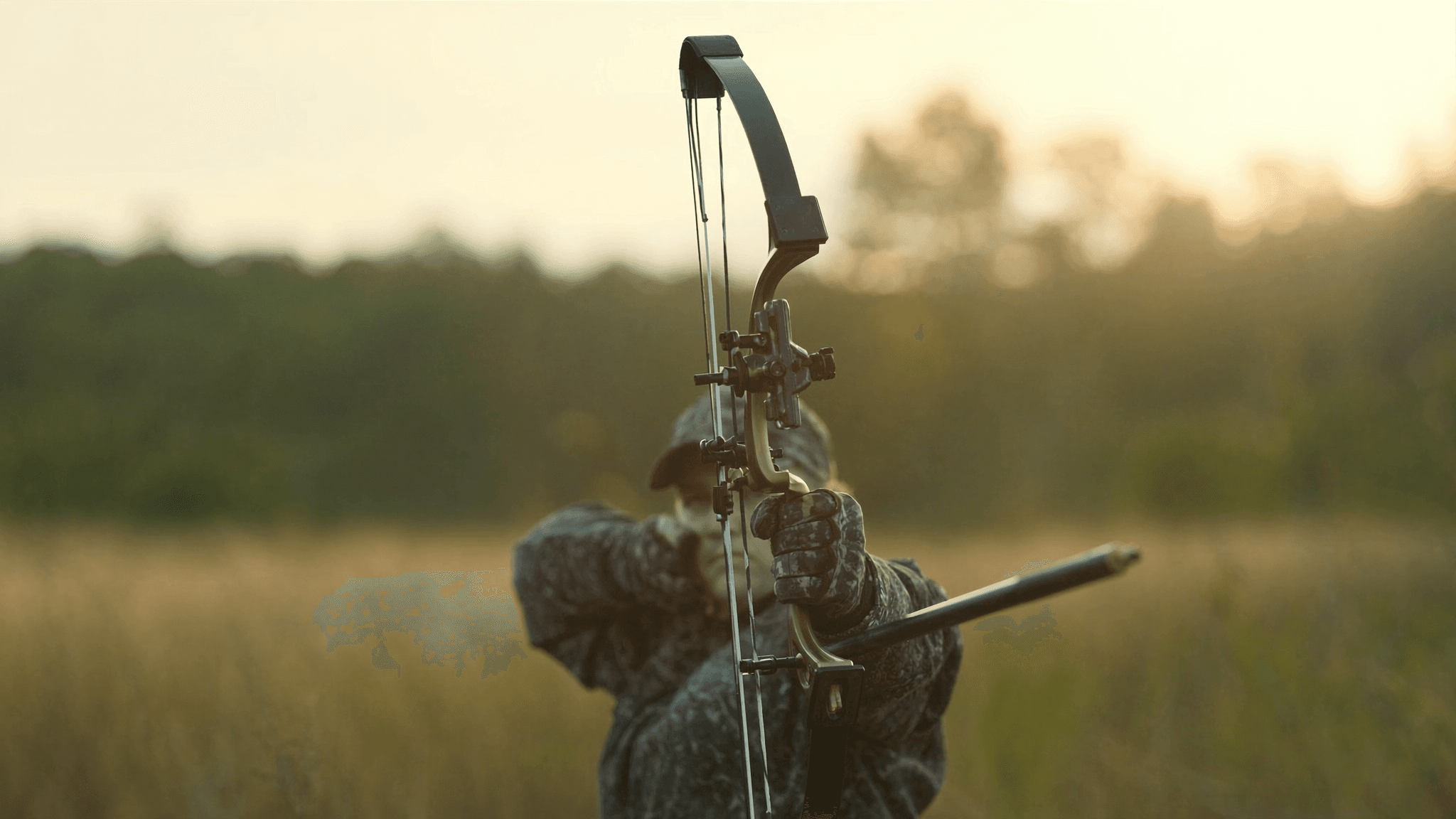 Hunting